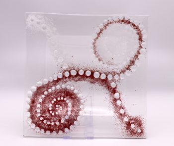 Octopus – Bild 3